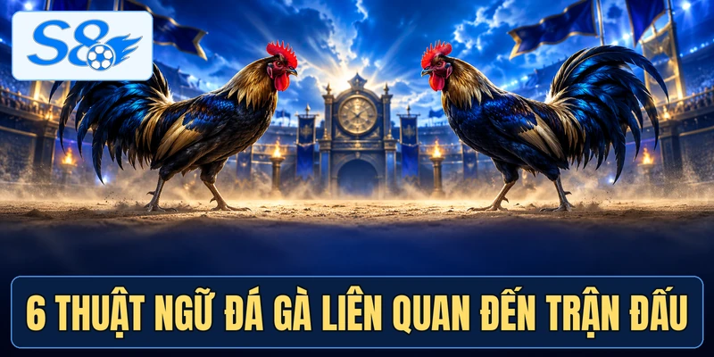 6 thuật ngữ đá gà liên quan đến trận đấu