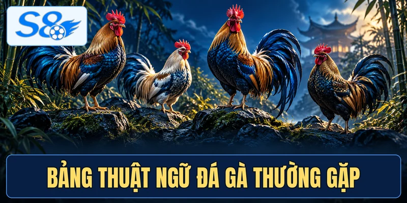 Bảng thuật ngữ đá gà thường gặp